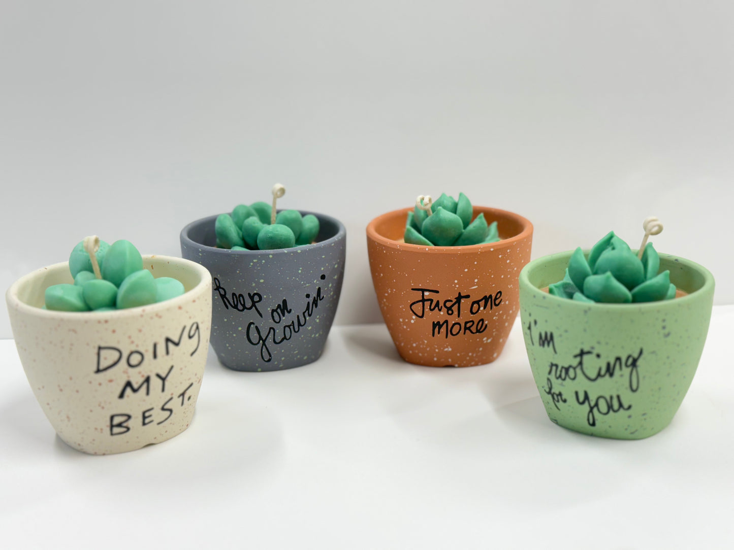 Succulent Plant Candles