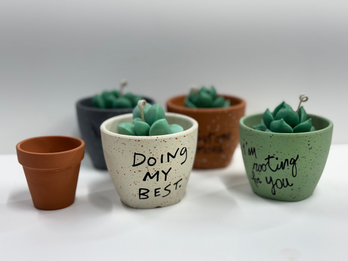 Succulent Plant Candles